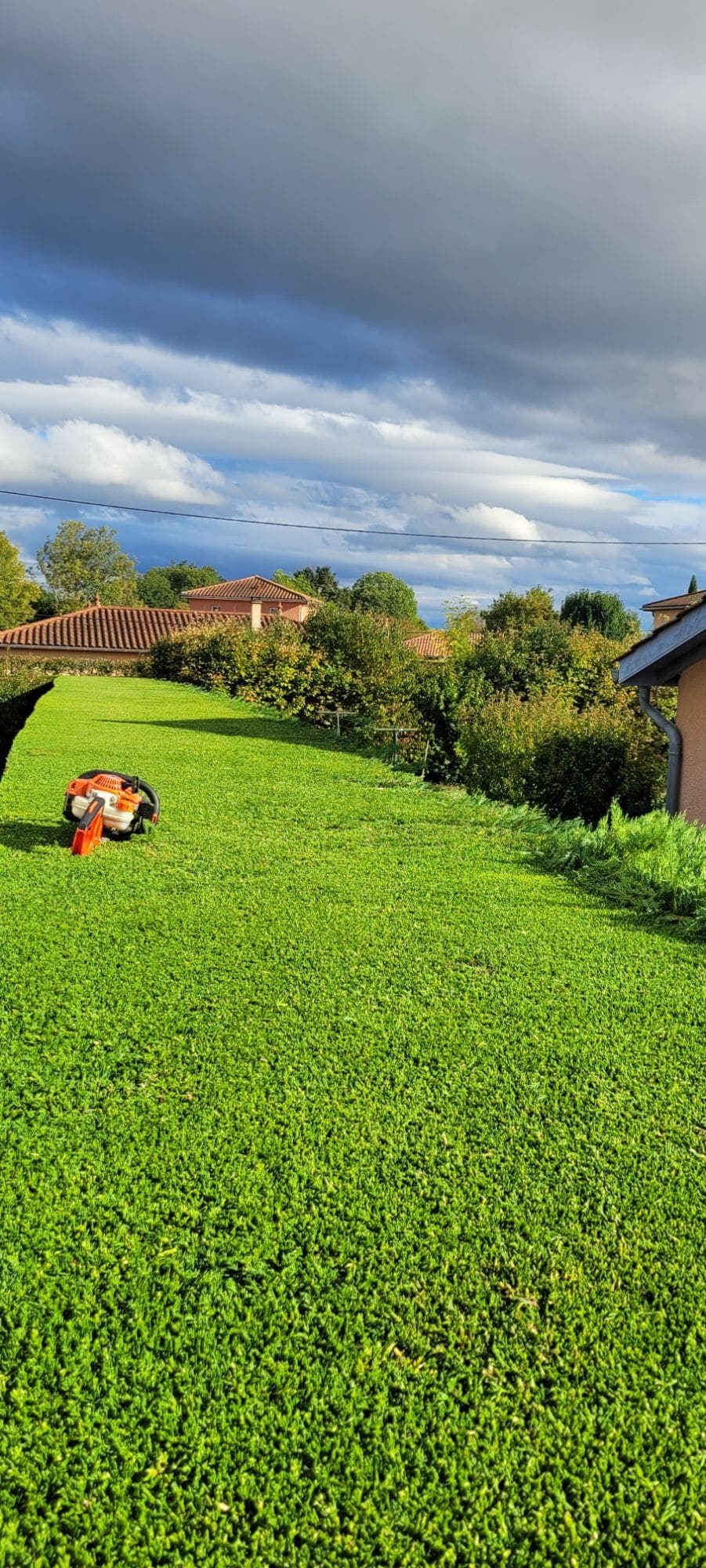 Création & aménagement d’espaces verts