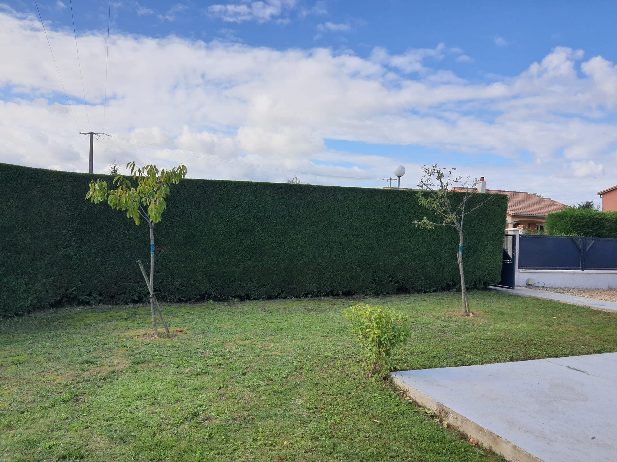 Jardin avec pelouse tondue et jeunes arbres tuteurés